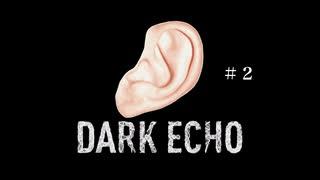 【ホラーゲーム】音だけの世界で脱出を試みる【DARK ECHO】#２