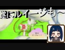【スーパーマリオ3Dコレクション】第五十五幕　遂にルイージもエンディング到達！！後はパープルコメットだけだ～2