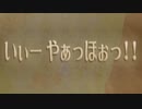 【SwS】スカウォをいつものノリで厄っていく【字幕プレイ動画その１２６】