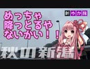 【新ゆか旅】秋の新潟・魚沼の旅 前編【86ボイロ車載】