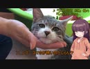 【VOICEROIDアニマルビデオ】東北きりたんのひざにペット！2【VOICEROIDグルメ】