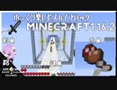 ゆかりのGo Insane SkyBlock version0.2.2b【1.16.2】＃8