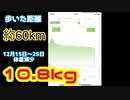 フードファイターのダイエット12/15開始10日間