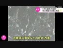「老化細胞」死滅させ体の機能改善へ 東大などのグループ