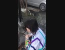 野良gatoに餌を与えるメスガキ.mp4