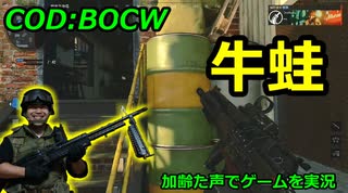 牛蛙　Call of Duty: Black Ops Cold War ♯37　加齢た声でゲームを実況