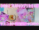 キラッとプリチャンプリたま４弾～マスコット認定試験ッCHU★～