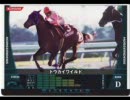 【残り12戦】トウカイワイルドとおれ【金鯱賞】＋α