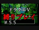 【ドラクエ5 縛りプレイ】さぁやってきました、ちゃんとレベリングしますよ！Part55【アルカリ性】