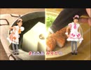 KAKERU_Z