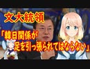 【韓国の反応】足を引っ張ってるのはお前だろ。文大統領「問題が生じても韓日関係が足を引っ張られてはならない」【世界の〇〇にゅーす】