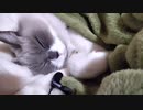 すーすーする動画