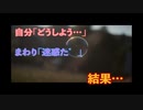 【一目惚れ】靴屋の男性店員さんを好きになり、毎月靴を買い→お付き合い→結婚できた‼が、サイトで相談したらデスられました【朗読】