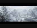 【RED DEAD REDEMPTION II】「時代に取り残された者達」第4回