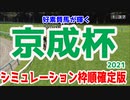 2021 京成杯 シミュレーション 枠順確定【競馬予想】
