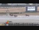 第26回マイル争覇 カツゲキキトキト