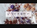 【オリジナルMV】【JKが本気で歌ってみた】ドライフラワー/うい