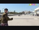 はじめてのザキメイ
