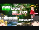 【ゆっくり解説】どうして自然は美しい？「キレイ」とはなんなのか