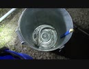 【#2釣り動画】某所でうなぎやらシーバス大量に釣れました！