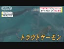 「水道水育ち」の魚・・・海や川に負担ゼロ　独自技術も