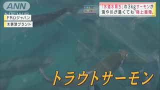 「水道水育ち」の魚・・・海や川に負担ゼロ　独自技術も