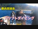 ドリフトダイビング慶良間諸島