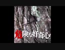 【ゆっくり怪談】危険な好奇心～中年女の呪い【定番・名作】
