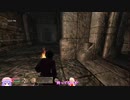 Oblivion　2021年1/1　Part6　シヴァリング・アイルズ