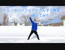 【ベネトナシュ】チルノのパーフェクトさんすう教室【踊ってみた】