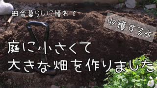 【田舎暮らしに憧れて】小さくて大きな畑を作りました