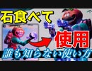 石食べた後にホップロックデュアリーを使ったら縦横無尽！？【フォートナイト】