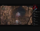 穴掘り と戯れ bloodborne