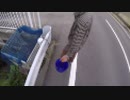 【発見】タナゴが釣れるスポットを見つけました！釣り動画
