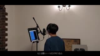 Beautiful World - 宇多田ヒカル  (covered by うがりょー)