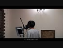 桜流し - 宇多田ヒカル  (covered by うがりょー)
