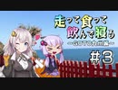 【VOICEROID車載】走って食って飲んで寝る　GOTO九州編　＃3【宮崎～佐多岬～垂水】