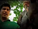 Born to be Wild: "Wild Bicol" and "Backpacking with Nature"