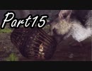 ぼやきながら冒険する『人喰いの大鷲トリコ』実況プレイ Part15