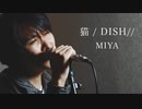 DISH// -『猫』（リクエスト）