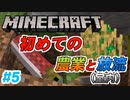 【Minecraft】初心者と一緒にのんびりマイクラ生活#5【女性２人実況】