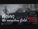 CoDWWⅡ the merciless field: 25