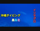 冬の黒島北ダイビング・沖縄ダイビング