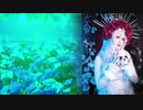 【L'Arc-en-Ciel】Anemone【cover by ma;yu】