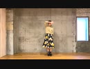【10周年】『プラチナ』 -shin'in future Mix-　踊ってみた【わがちゃ】