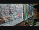 【ゲームセンター】クレーンゲームでぬいぐるみをGETするあい❤アームでつかんでいないのに落ちましたwww