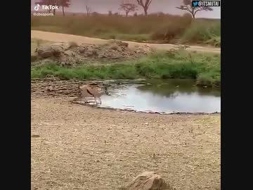 【超絶フェイント】