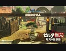 [初見] ゼルダ無双厄災の黙示録 一応実況プレイかも！ 第20回 -1/2
