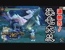 【MHR】狩初め！モンスターハンターライズの世界へ！ 後編