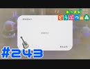 【実況】自分で自分への誕生日メッセージを書かされる #243【あつまれどうぶつの森】